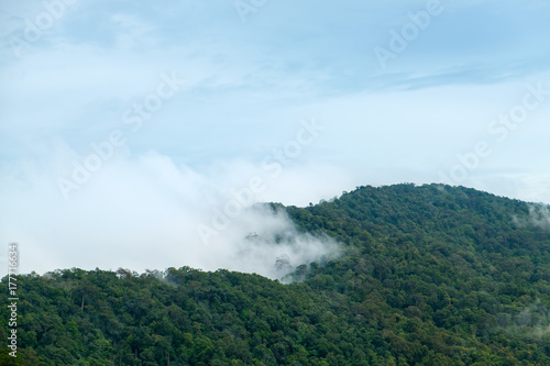 Forest mountain and white fog at Doi Samer Dao