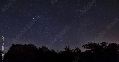Starscape Point Pelee