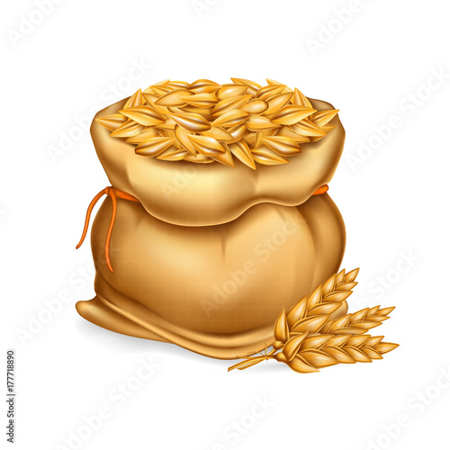 Vector realistic illustration of a bag with wheat, barley and sprigs of ears isolated on white background. Template, element for design.