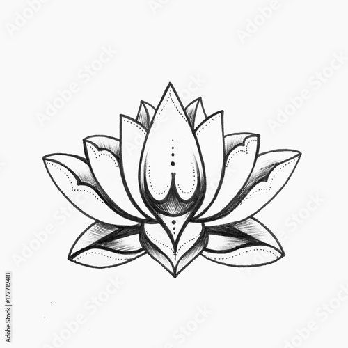 A Sketch Of A Beautiful Black And White Lotus Flower On A White Background Stock Illustration Adobe Stock A Sketch Of A Beautiful Black And White Lotus Flower On A White Background Stock Illustration Adobe Stock