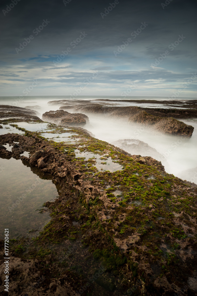 Obraz premium Green on Stone