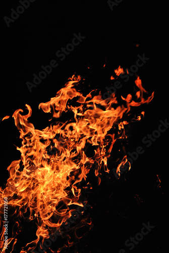 Bright fire flames on black night background