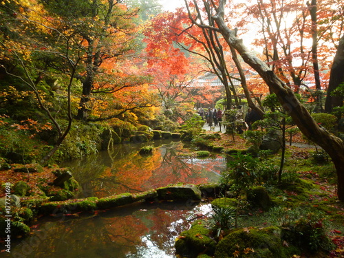 Kongorinji Autumn Colored Pond, Shiga Japan © Joshua Daniels
