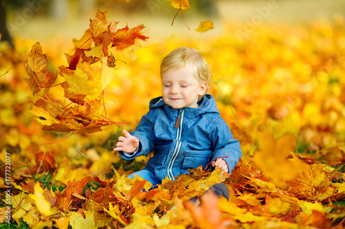 happy kid walks in a beautiful autumn park  plays and fires.