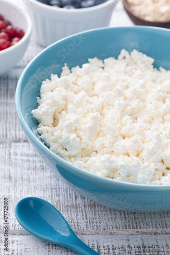 Organic Farmers cheese, Cottage cheese, Curd cheese, Tvorog or Ricotta cheese in a blue bowl. Closeup view