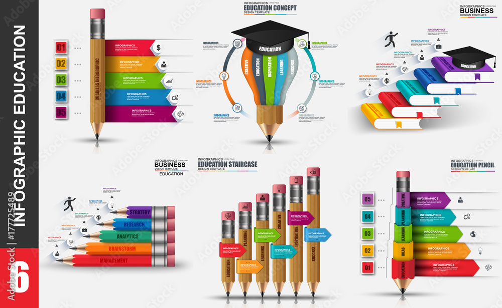 Education infographic elements data visualization vector design