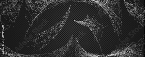 Halloween decor, spider cobweb, hand drawn vector illustration.