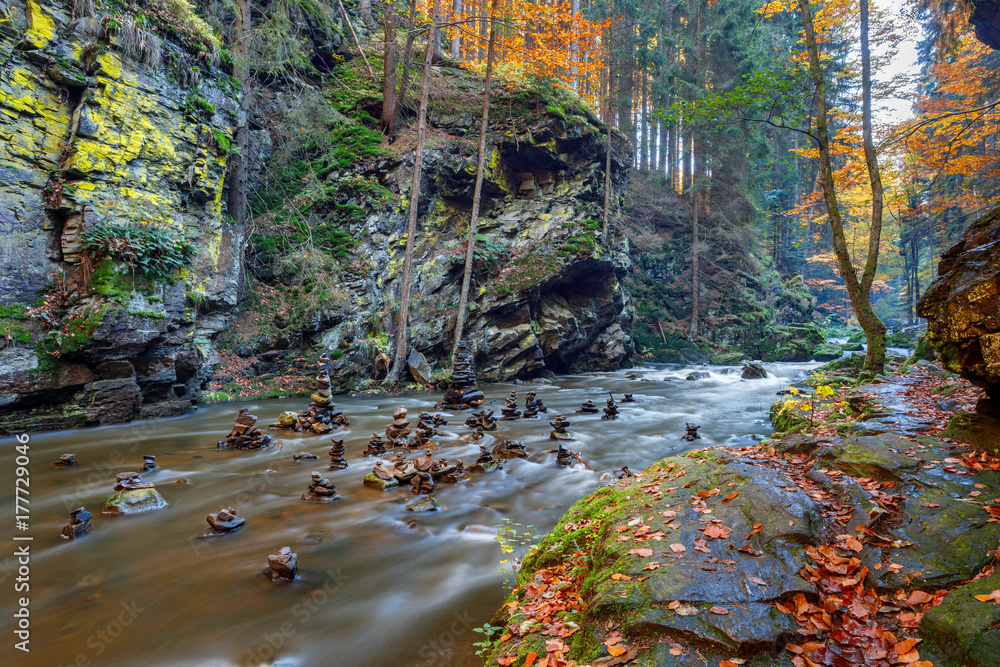 Fototapeta premium Autumn, fall wild river Doubrava, picturesque landscape.