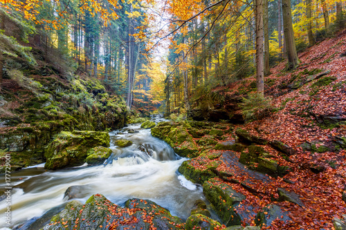 Autumn, fall wild river Doubrava, picturesque landscape. photo