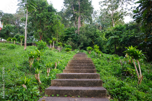 Stairs with fence in spring forest to hillside