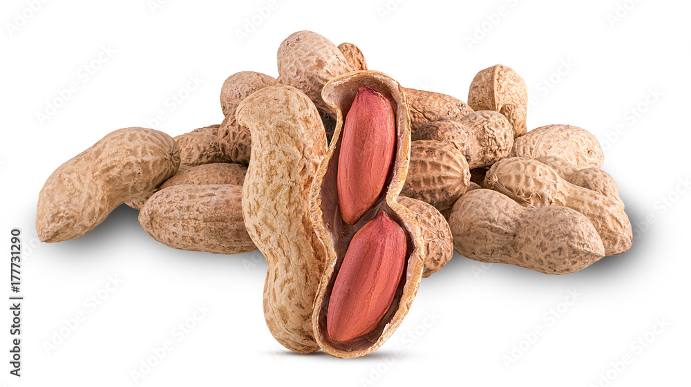 Heap of dried, opened and closed peanut shells with nuts visible Heap of dried, opened and closed peanut shells with nuts visible