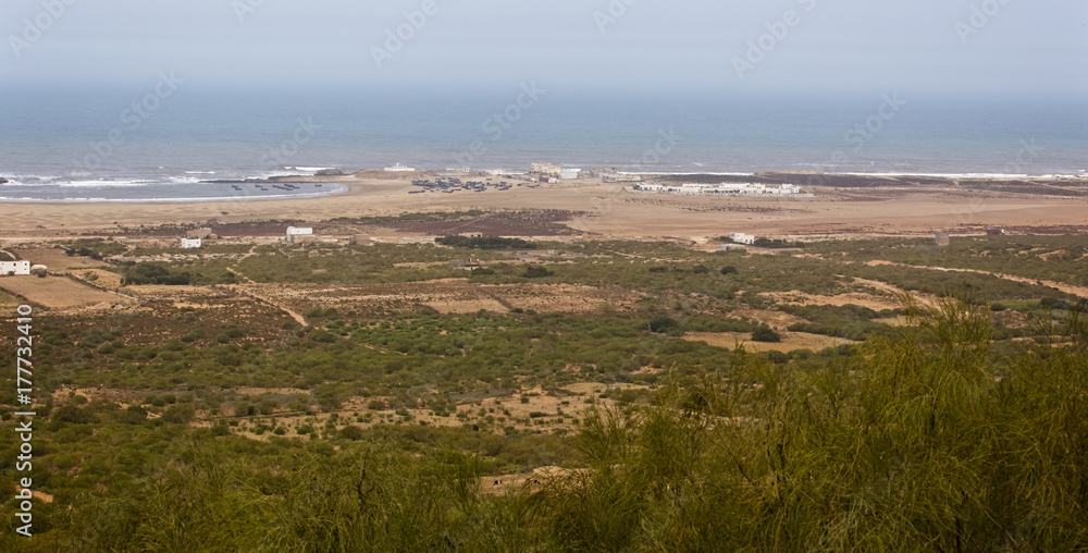 Coastal habitat north of Essaouira, Morocco.