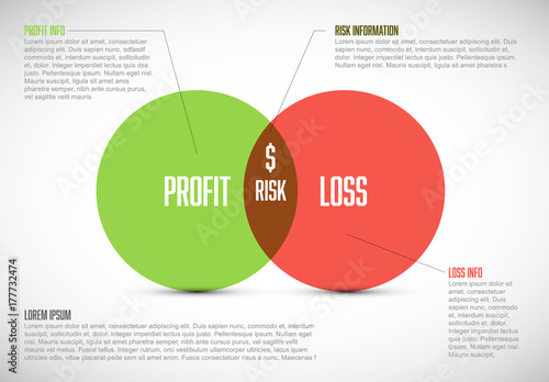 Business model template - profit, risk and loss