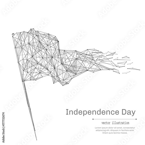 Flag low poly wireframe isolated black on white background. Abstract mash line and point origami. Vector illustration. Independance Day concept with geometry triangle. Light connection structure.