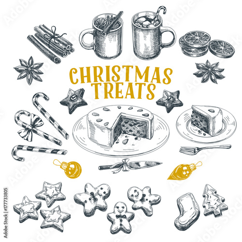 Beautiful vector hand drawn christmas Illustrations set.