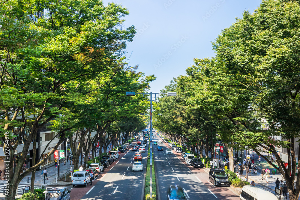 東京 表参道