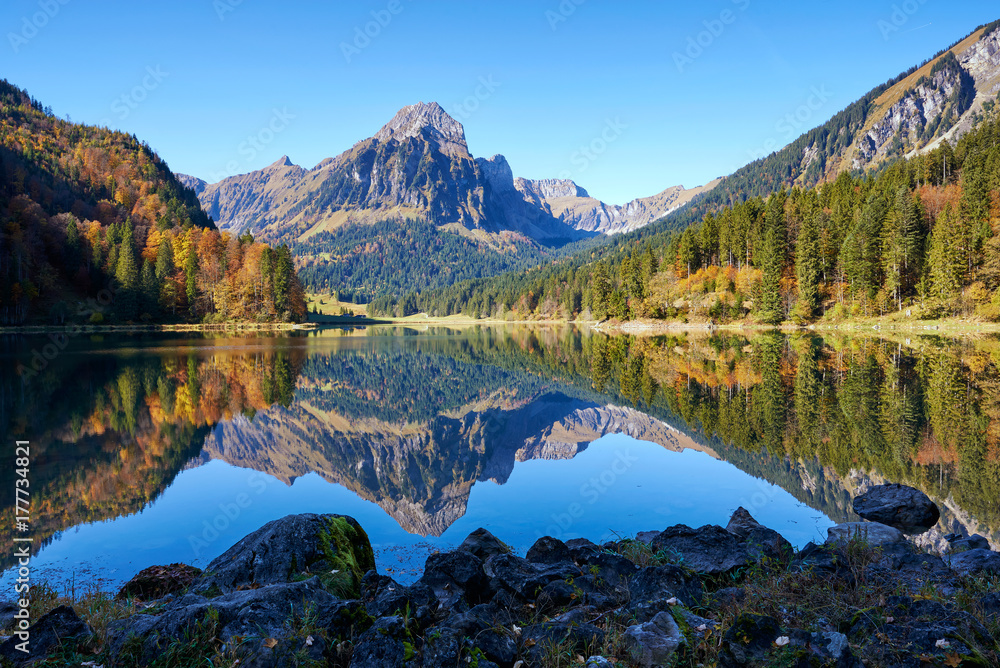 Wasserspiegelung Obersee Herbst Herbstwald Brünnelistock blauer Himmel Schatten Licht 