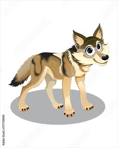 Little cute Wolf with big eyes - vector drawing - isolate white background