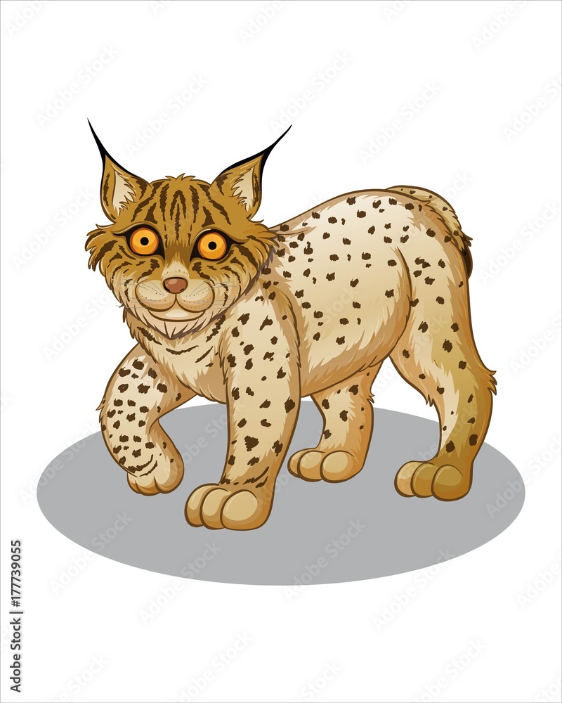 Lynx with big eyes - vector drawing - isolate white background