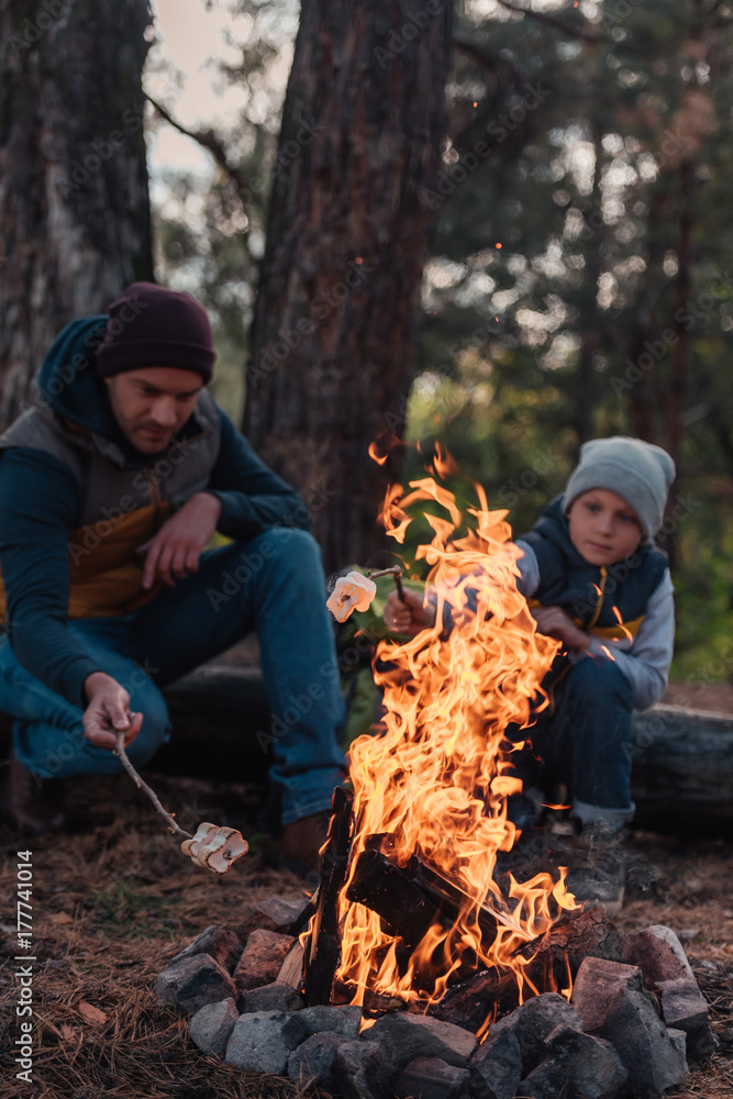 father and son cooking marshmallows in forest father and son cooking marshmallows in forest