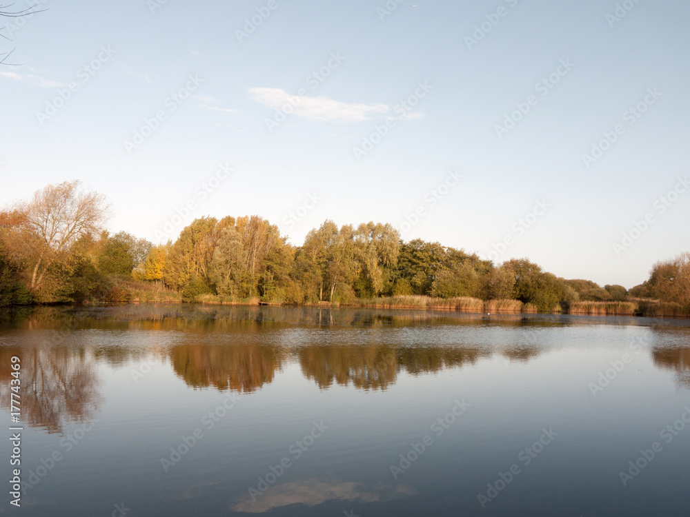 beautiful lake landscape water surface with autumn trees and reeds