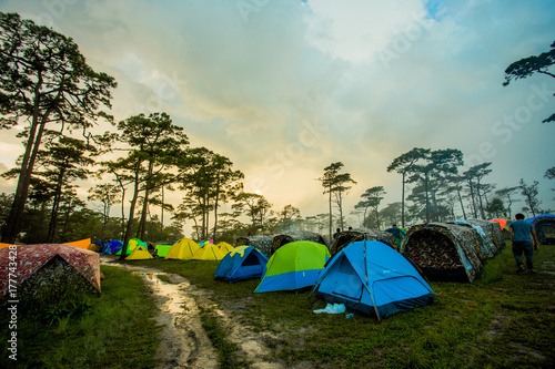 Camping spots