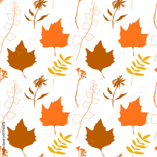 Floral vector seamless pattern with wild flowers, platan or maple and ivy leaves and twigs with berries.