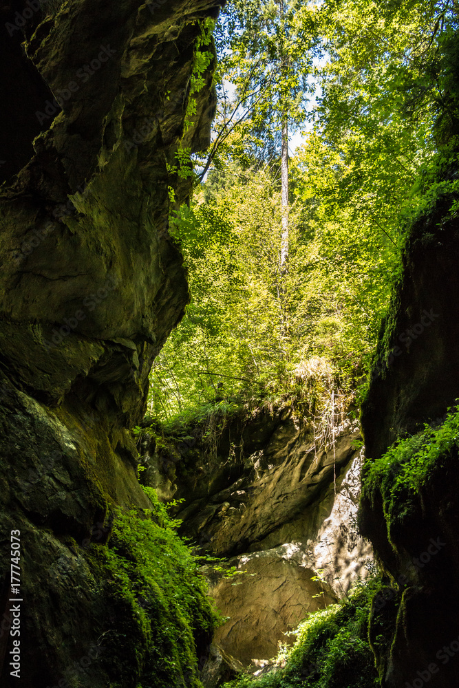 Wilder Bach, Felsen und Bäume Wilder Bach, Felsen und Bäume