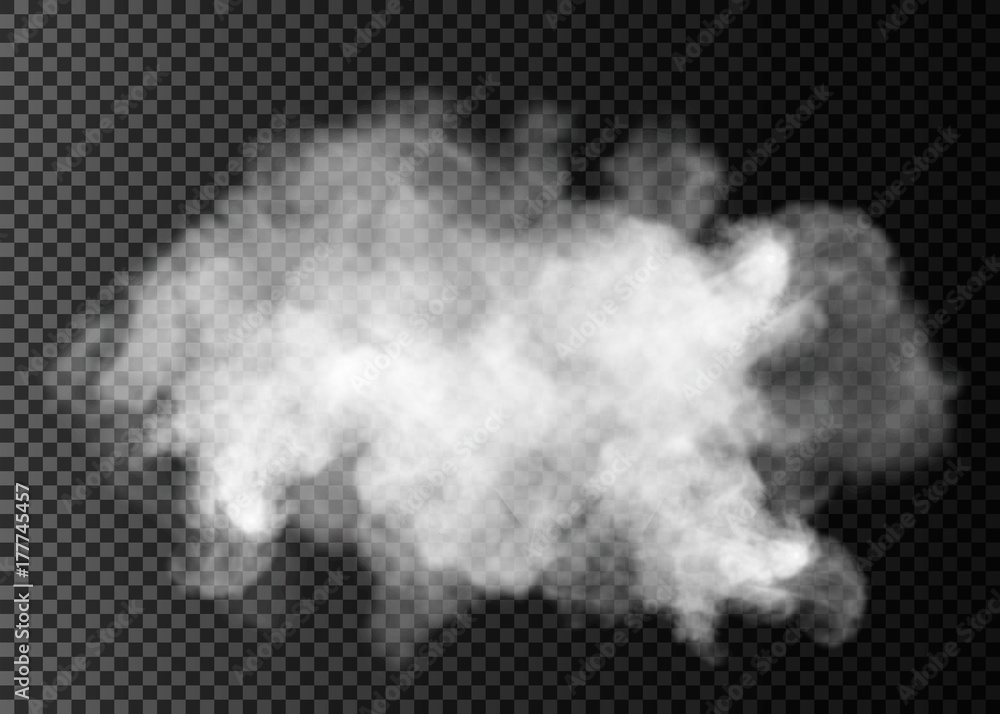 Plakat Mgła lub dym na białym tle przezroczysty efekt specjalny. Wektor biały zachmurzenie, mgła lub smog tle.