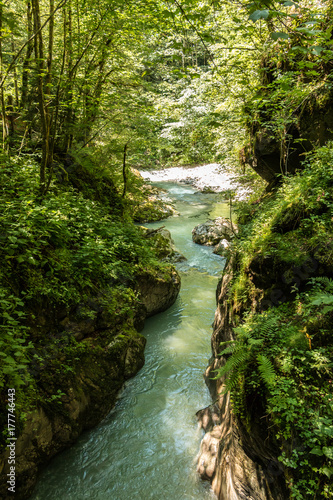Wilder Bach, Felsen und Bäume