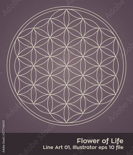 buddhism chakra illustration: Flower of Life Simple