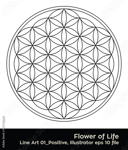 buddhism chakra illustration: Flower of Life colouring page