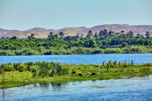 River Nile in Egypt. beautiful landscape