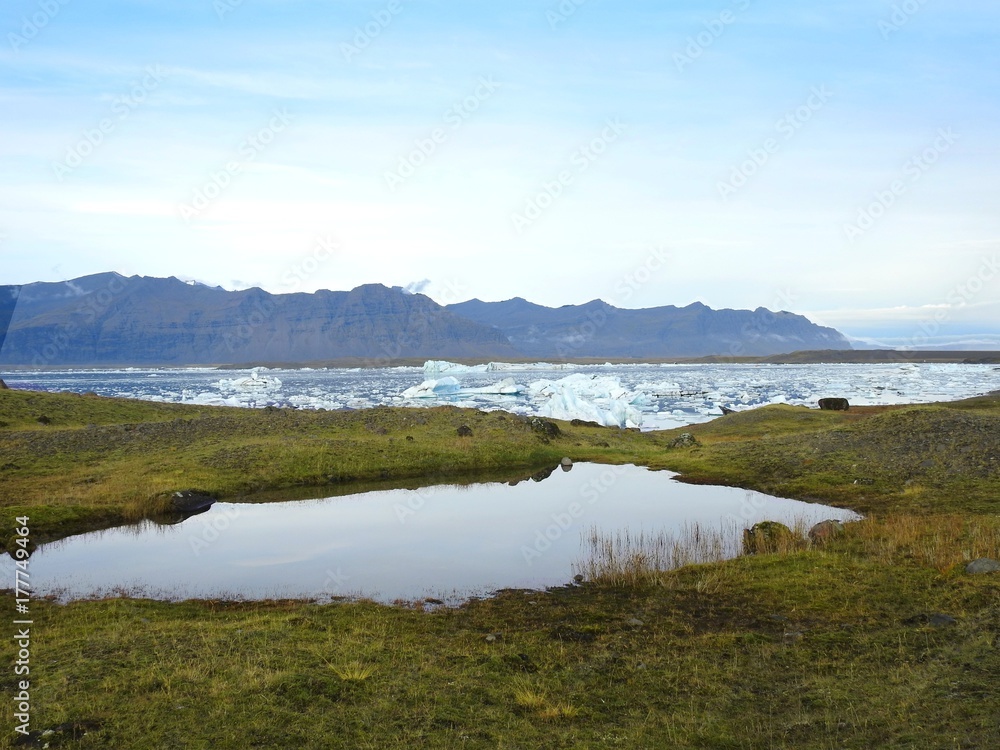 Entre montagne et océan, volcans et Fjord, faune et Flore d'Islande