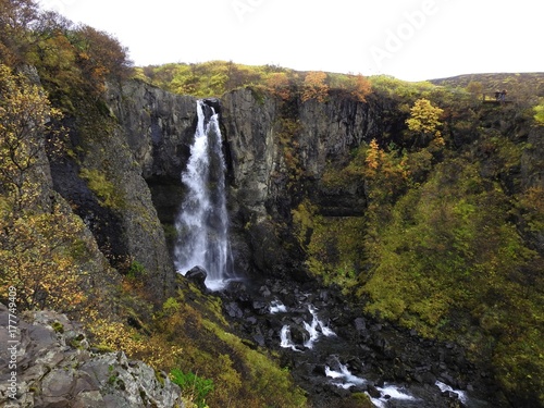 Entre montagne et oc  an  volcans et Fjord  faune et Flore d Islande