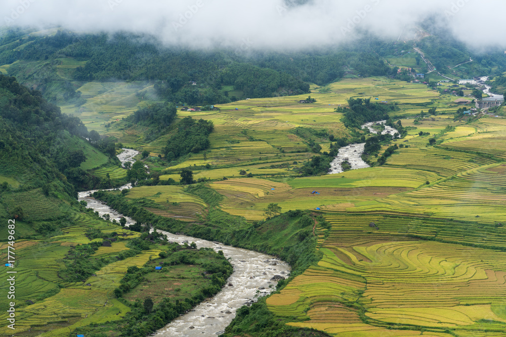 Terraced rice field landscape with river in harvesting season in Y Ty, Bat Xat district, Lao Cai, north Vietnam