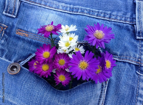 bouquet d'asters coloré dans poche en jean