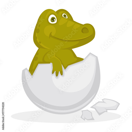 Baby crocodile inside cracked egg shell isolated illustration