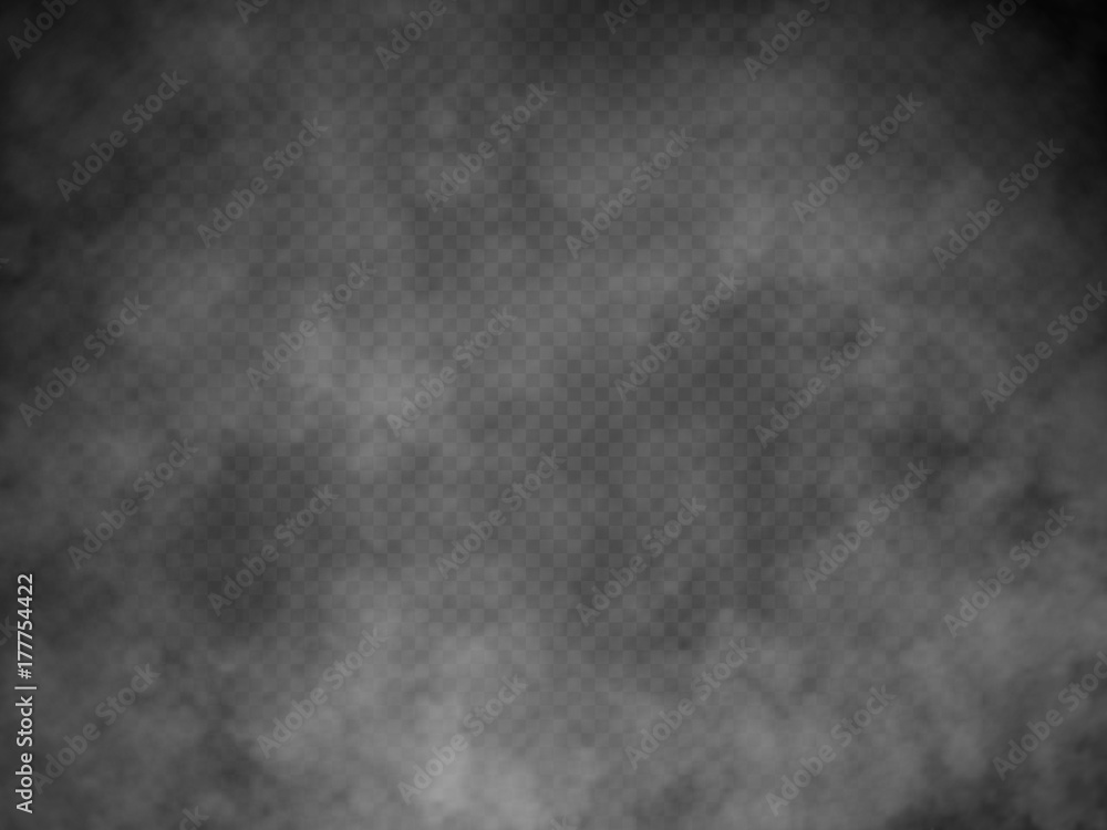 Smoke isolated transparent special effect. Vector illustration Smoke isolated transparent special effect. Vector illustration