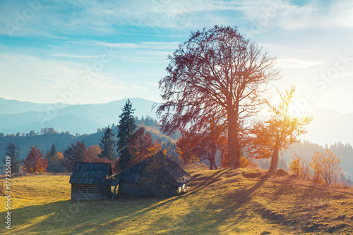 Colorful autumn landscape in the mountain village. Foggy morning in the Carpathian mountains. Sokilsky ridge, Ukraine, Europe. photo