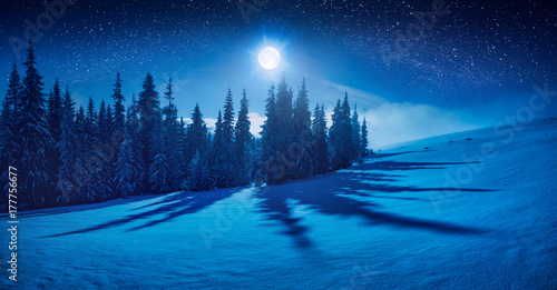 Fairy winter night in a mountain valley © Bashkatov