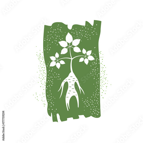Label with ginseng on the white background.