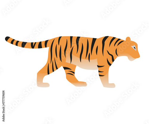 Fototapeta Naklejka Na Ścianę i Meble -  Tiger icon on the white background.