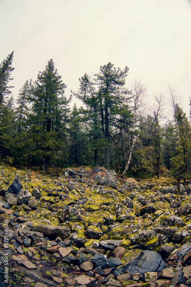 Cloudy landscape in mountains, Olympic National Park, Washington, USA Cloudy landscape in mountains, Olympic National Park, Washington, USA