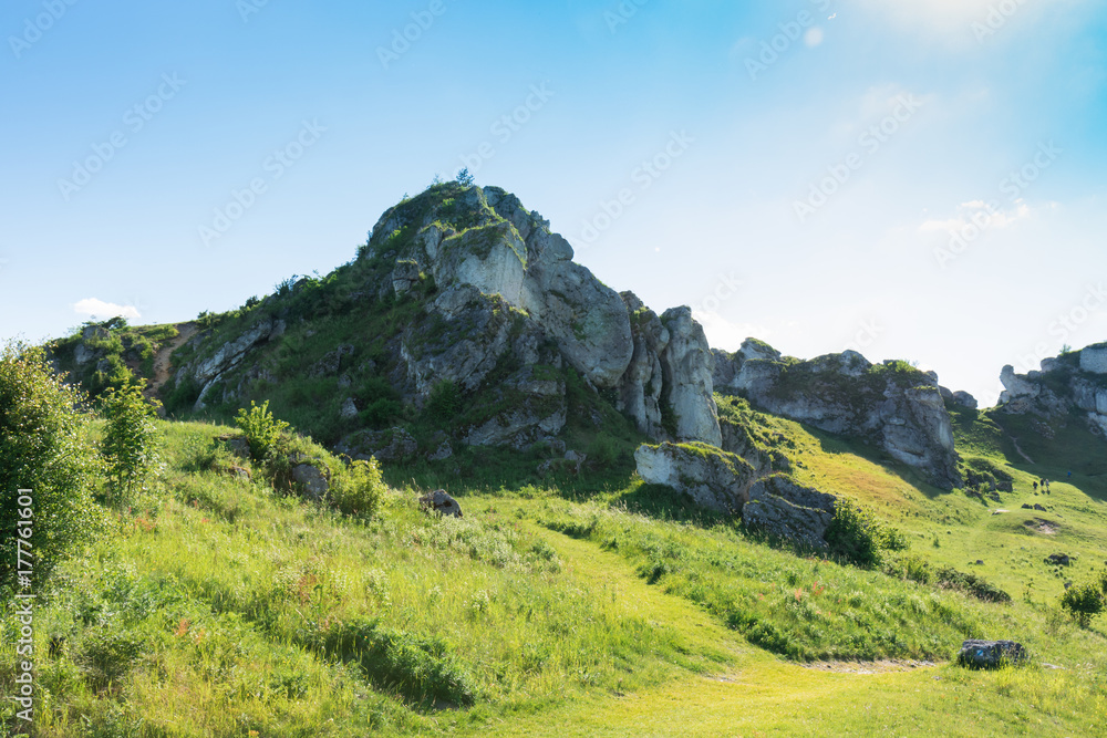 Limestone rock on the Trail of the Eagle's Nests, Poland, Jura