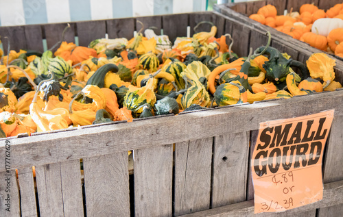 Variety of gourds for sale at market