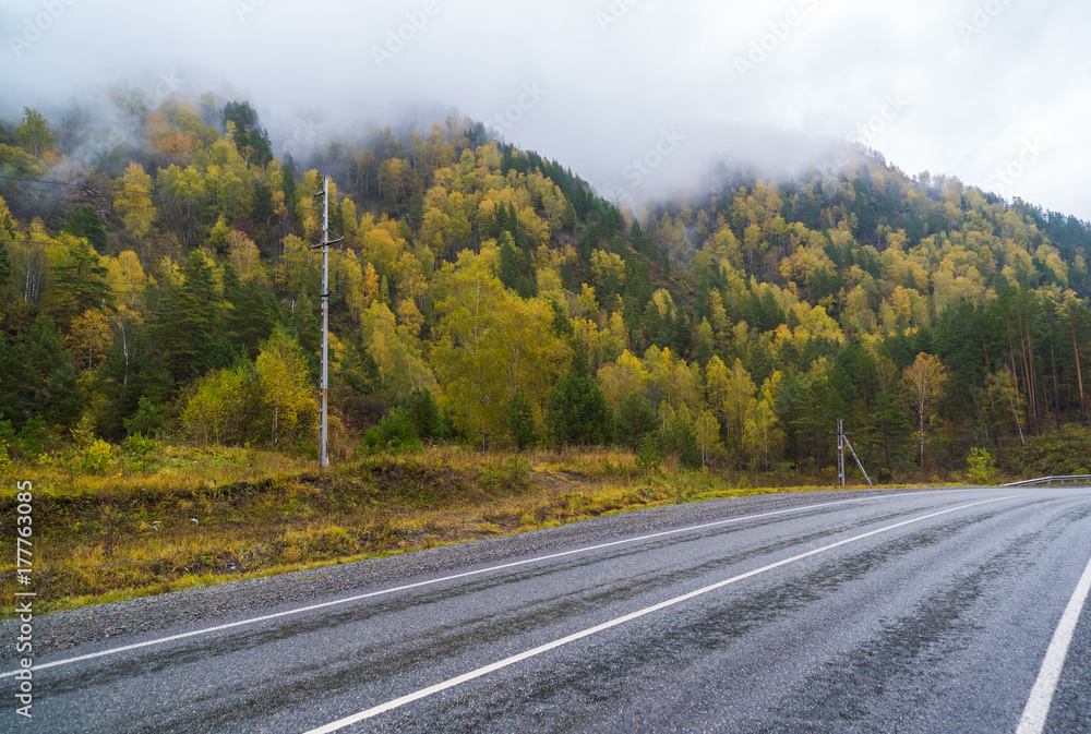 Federal highway M-52 Chuysky tract, asphalt road with markings among the autumn trees.