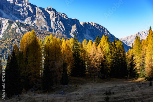 Golden larch reflections. Autumn Dolomites