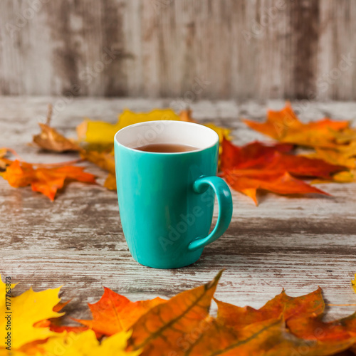 A Cup of tea. Frame of autumn leaves on wooden background. Yellow Red