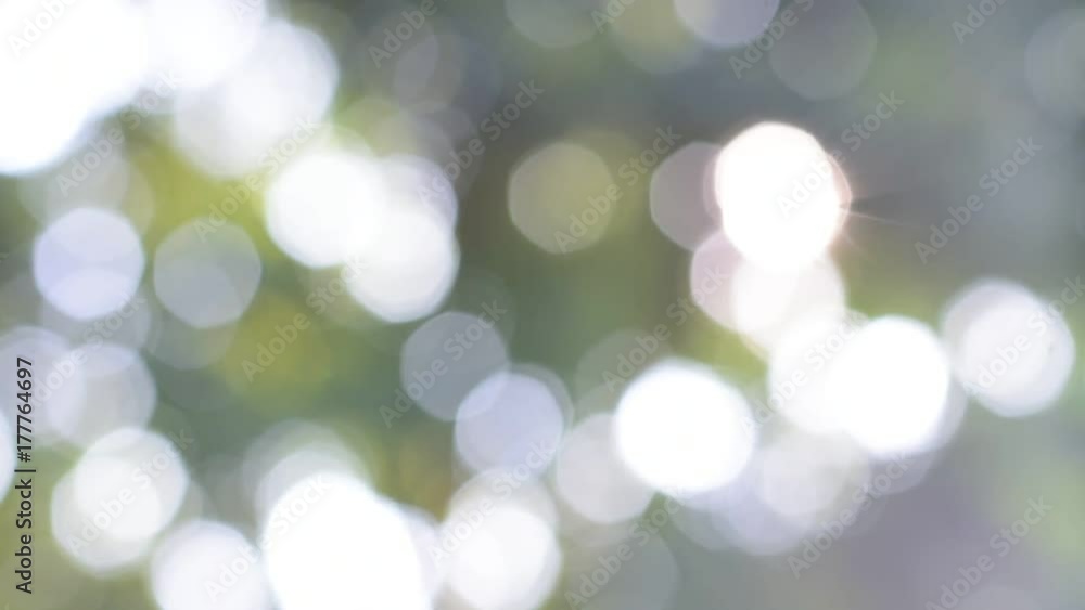 out focus bokeh out focus bokeh
